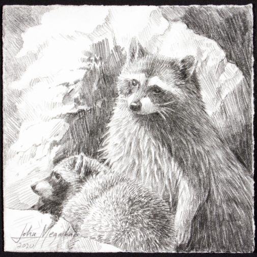 John Megahan's "Charleston Natives," graphite on paper