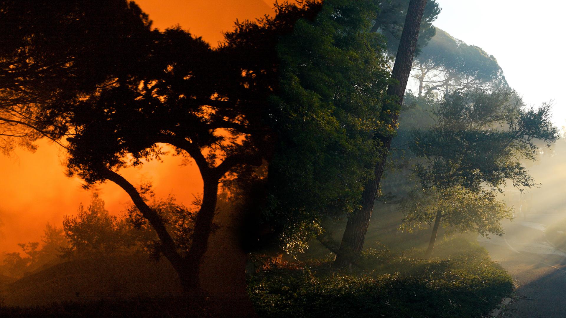 Panoramic digital collage of the Tea Fire at Westmont College.