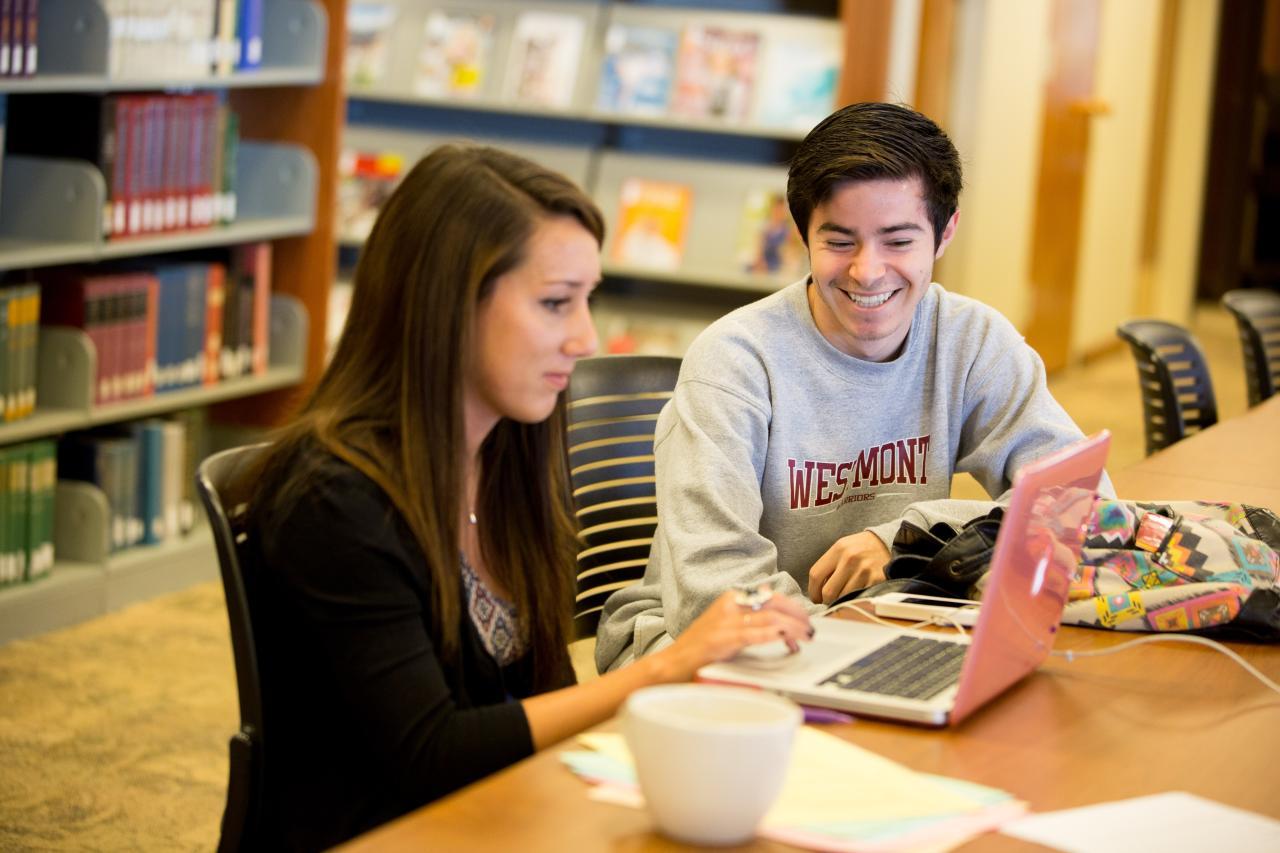 Students working on laptop in library